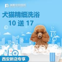 【西安新店专享】犬猫精细洗浴套卡10送17 犬：0-3kg